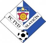 logo TVD Slavicin