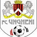 logo Ungheni