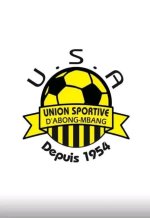logo Union SA