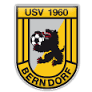 logo USV 1960 Berndorf