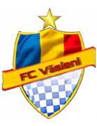 logo Vasieni