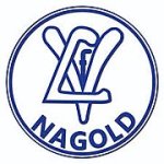logo VfL Nagold