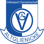 logo VSG Altglienicke