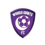 logo Wakiso Giants