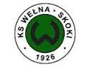 logo Welna Skoki