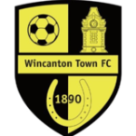 logo Wincanton Town