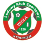logo Wisla Strumien