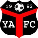 logo Ynyshir Albions FC