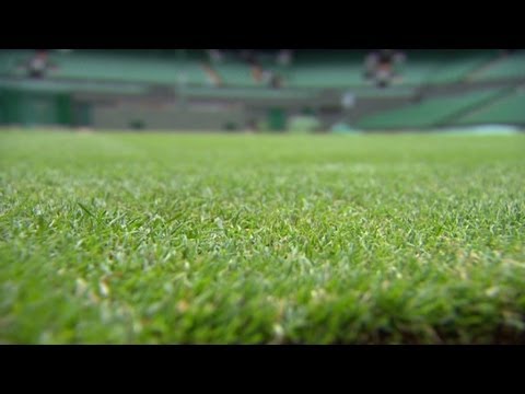 Aspettando Wimbledon