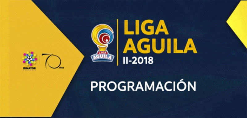 Torneo Finalización 2018 