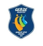 logo Gebze