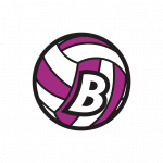 logo SD Brezovica