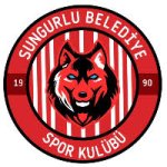 logo Sungurlu