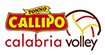 logo Vibo Valentia