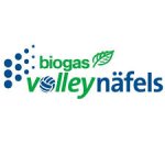 logo Volley Nafels